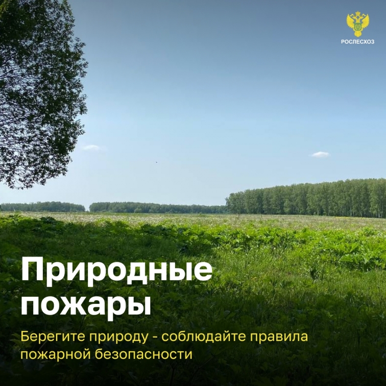 Природные пожары